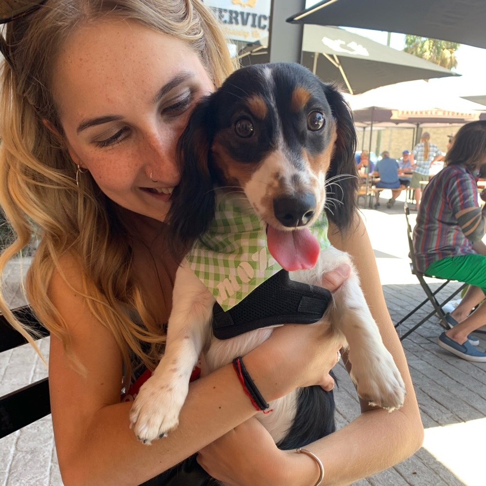 Meet your Posher, Pia